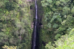 Our favorite-water fall on road to Hana
